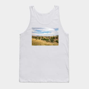 Santa Rita Mountains, Arizona Tank Top